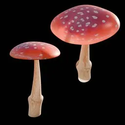 Mushroom