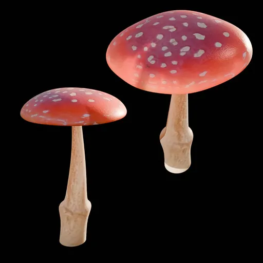 Mushroom