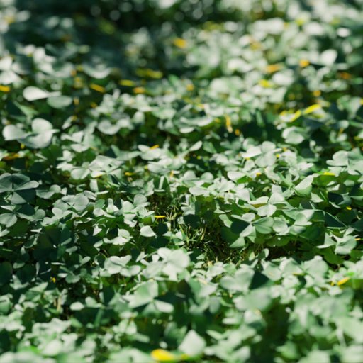 Thumbnail: Clover