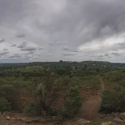 Bloem Hill 02
