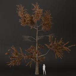 SJ-Amber Drift Pine Tree