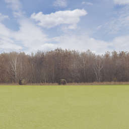 High-quality autumn treeline 3D model with alpha channel for Blender.