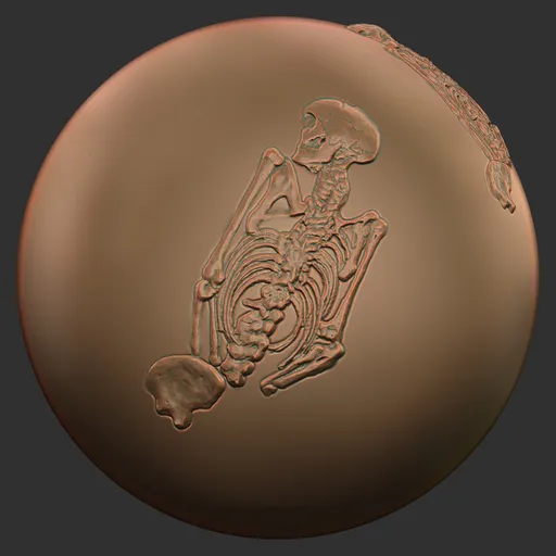 Curled Skeleton