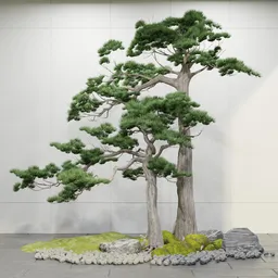 Twin Zen Pine Tree