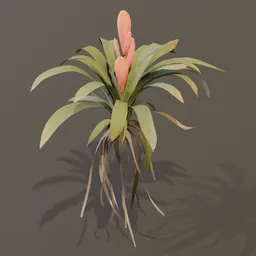 Bromeliad Tropical Flower Small