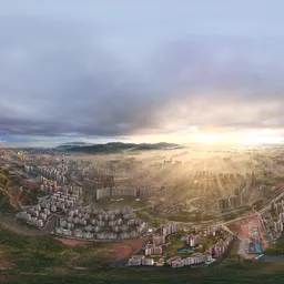 Sunset yellow warm light forest