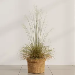 Breeze Grass Basket