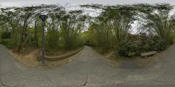Cloudy daytime bamboo forest HDR