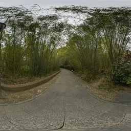 Cloudy daytime bamboo forest HDR
