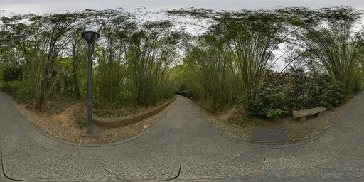 Cloudy daytime bamboo forest HDR