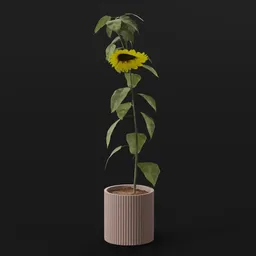 Flower Sunflower Long Pot
