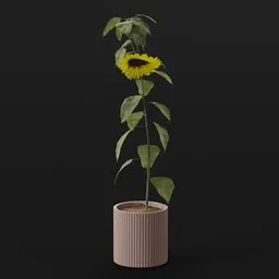 Flower Sunflower Long Pot