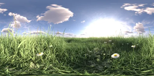 Morning light grass 16k