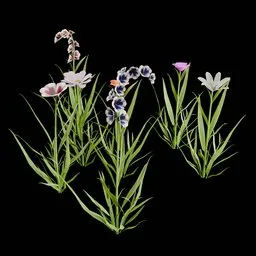 Realistic Outdoor Flowers