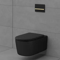 Toilet (Wall Hung Toilet)