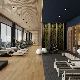 Modern Home Gym Interior