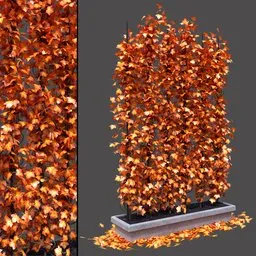Autumn Ivy Wall