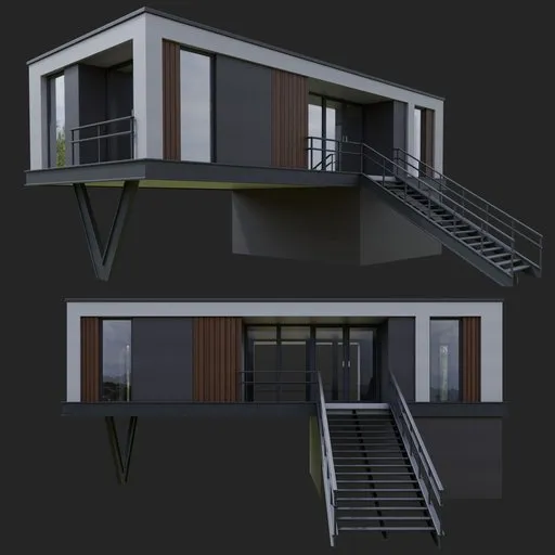 Modern Wooden House