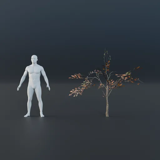 Oak Tree - Sapling Small (Autumn)
