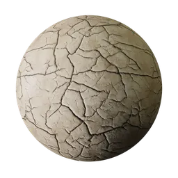 Cracked Earth Surface