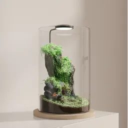 Verdant Light Terrarium