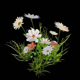 Garden and Yard Flowers