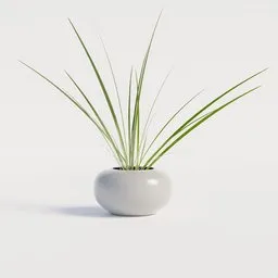 Elegant 3D modeled indoor plant with sleek vase, ideal for shelf decor, rendered in Blender.