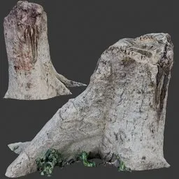 Tree Stump