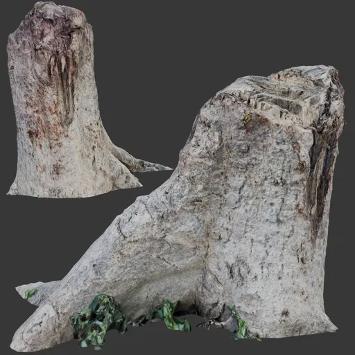 Tree Stump