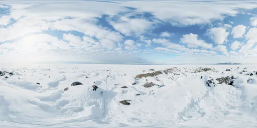 Bright Arctic Day