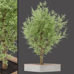 Garden Tree Table Set
