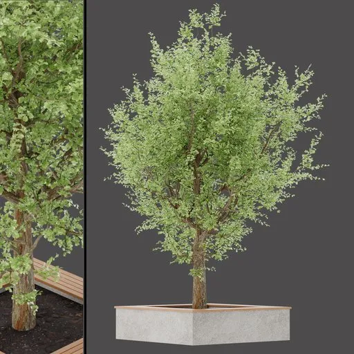 Garden Tree Table Set
