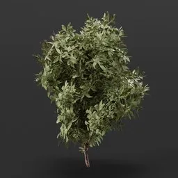 Detailed Blender 3D model of a lush green bush, suitable for realistic environment rendering in games and scenes.