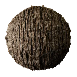 High-resolution, detailed tree bark 2K PBR texture for realistic 3D rendering in Blender and other 3D applications.
