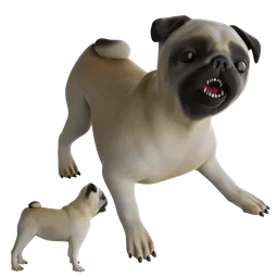 Pug