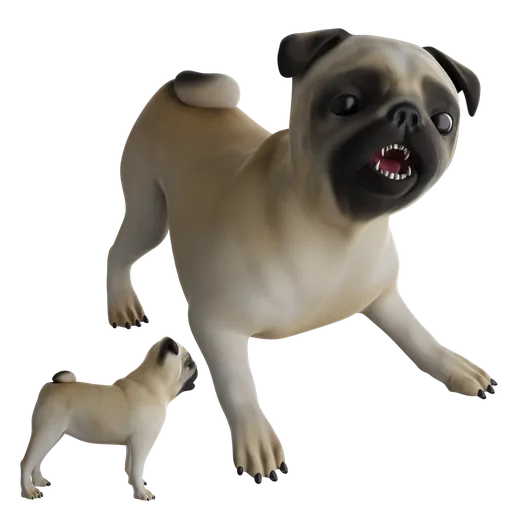 Pug