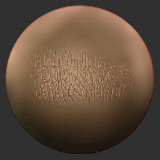 ER_Realistic Lip Brush-Aged Lip Texture