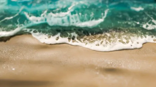 Beach Sand and Ocean Waves Whitewater Frame 40