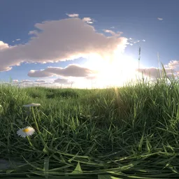 Sunset yellow light grass 16k