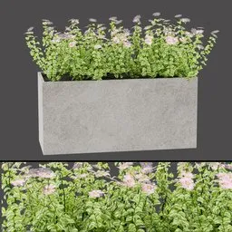 Concrete Bloom Planter