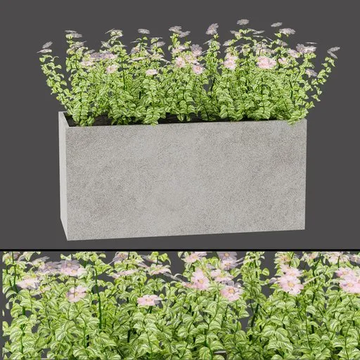 Concrete Bloom Planter