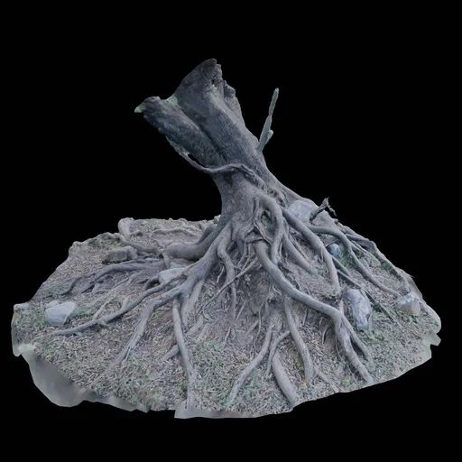 Detailed 8K-resolution Blender 3D model displaying an intricately textured uprooted tree with realistic roots.
