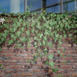 Realistic ivy-covered ledge 3D model with high-resolution textures for game design and Blender 3D scenes.