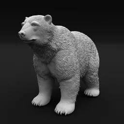 Grizzly Bear