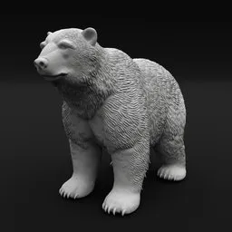 Grizzly Bear