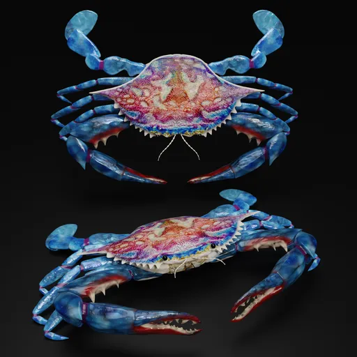 Detailed 3D blue crab model showing top and side views, highlighting intricate textures and rigging for animations.