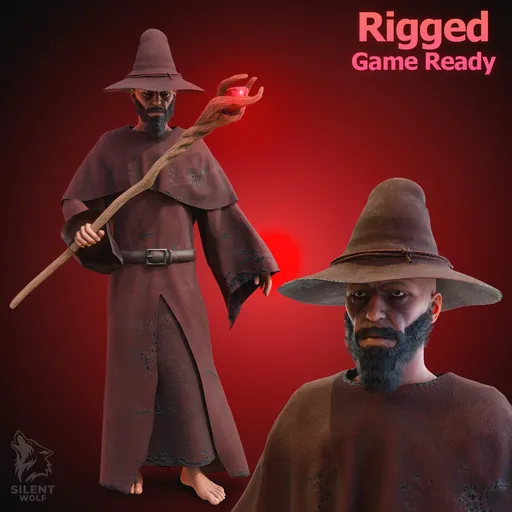 Dark Fantasy Wizard Rigged Animated