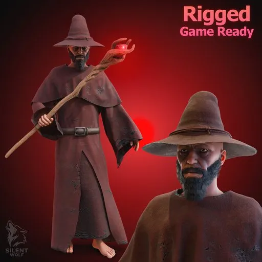 Dark Fantasy Wizard Rigged Animated