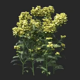 Golden Yellow Clustered Flowering Plant