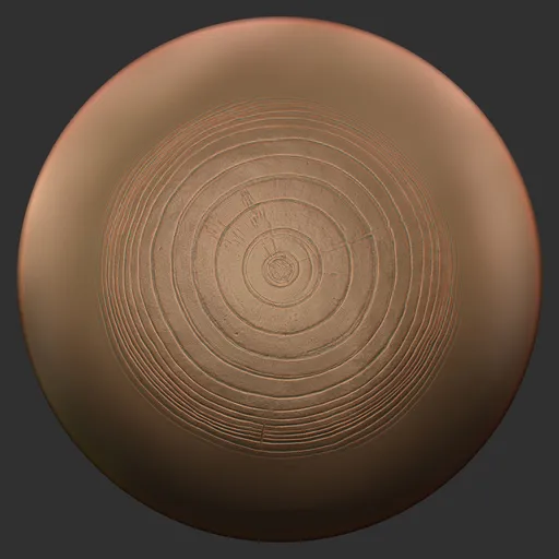 ER_Wood Brush-Wood Rings Wide